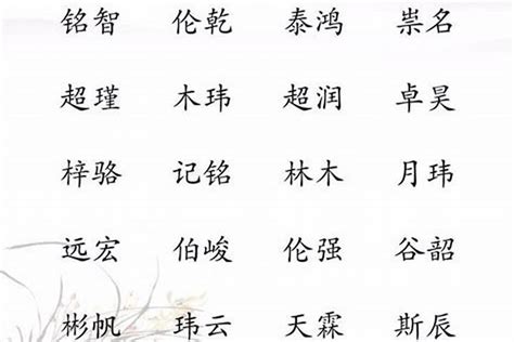 皓名字|带皓字的男孩名字